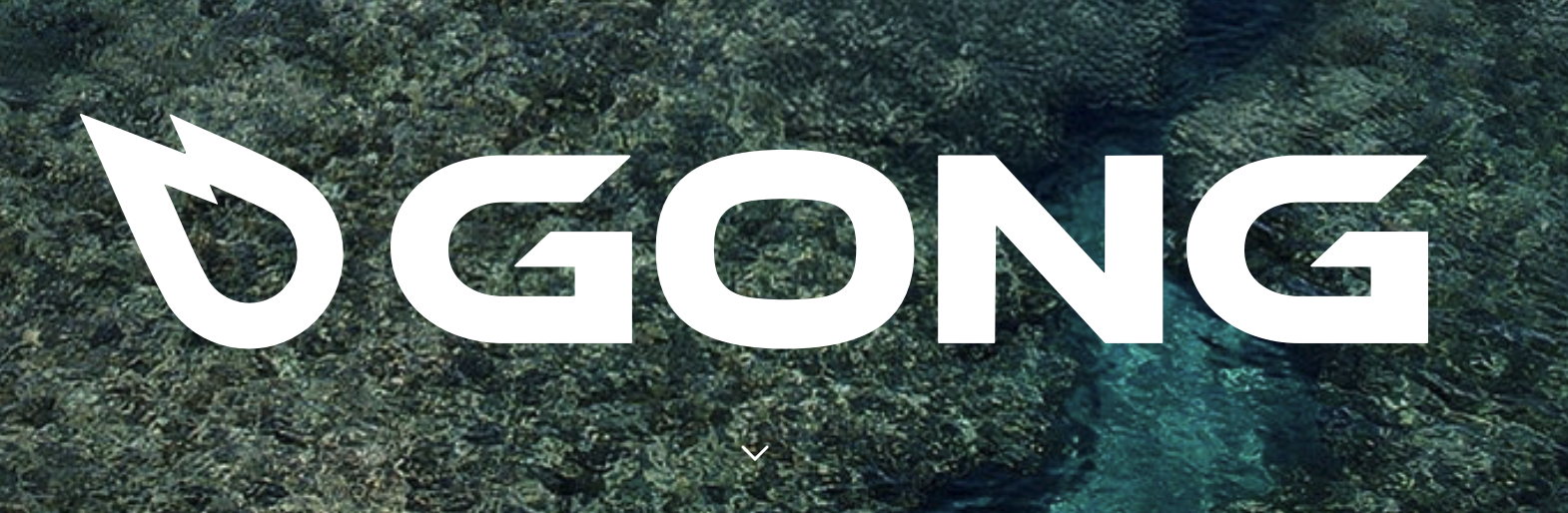 Gong logo